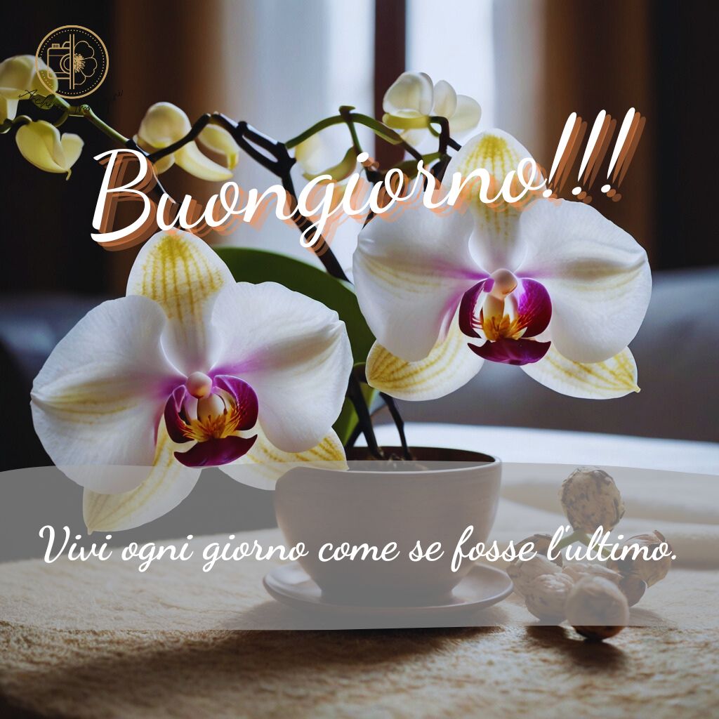 immagini buongiorno con orchidee 36