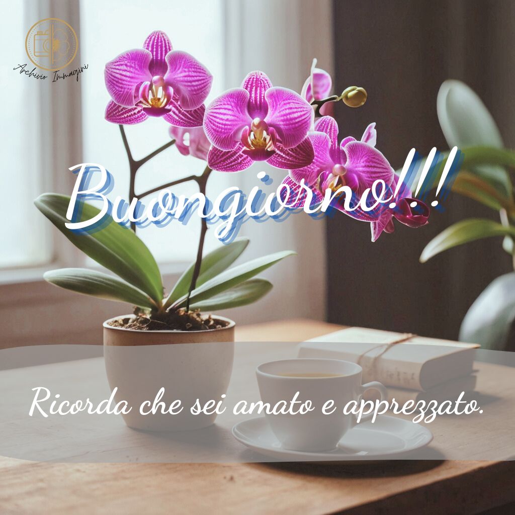 immagini buongiorno con orchidee 37