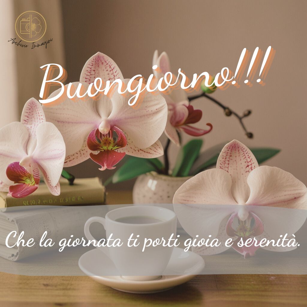 immagini buongiorno con orchidee 38