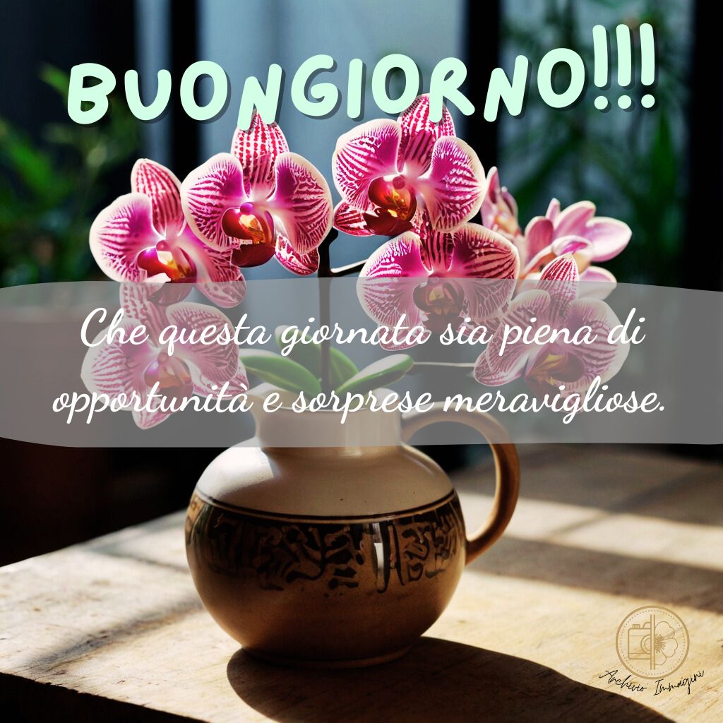 immagini buongiorno con orchidee 41