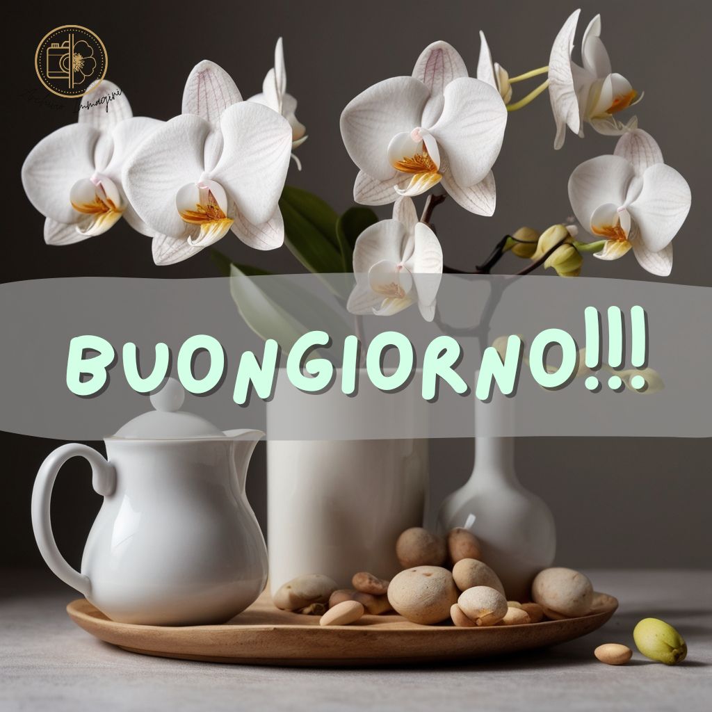 immagini buongiorno con orchidee 42