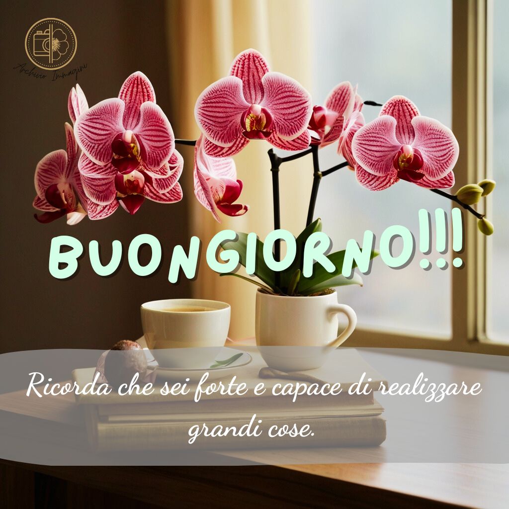 immagini buongiorno con orchidee 44