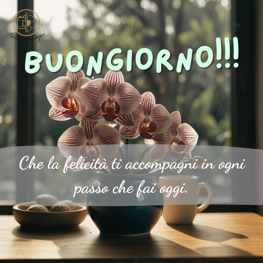 immagini buongiorno con orchidee 45