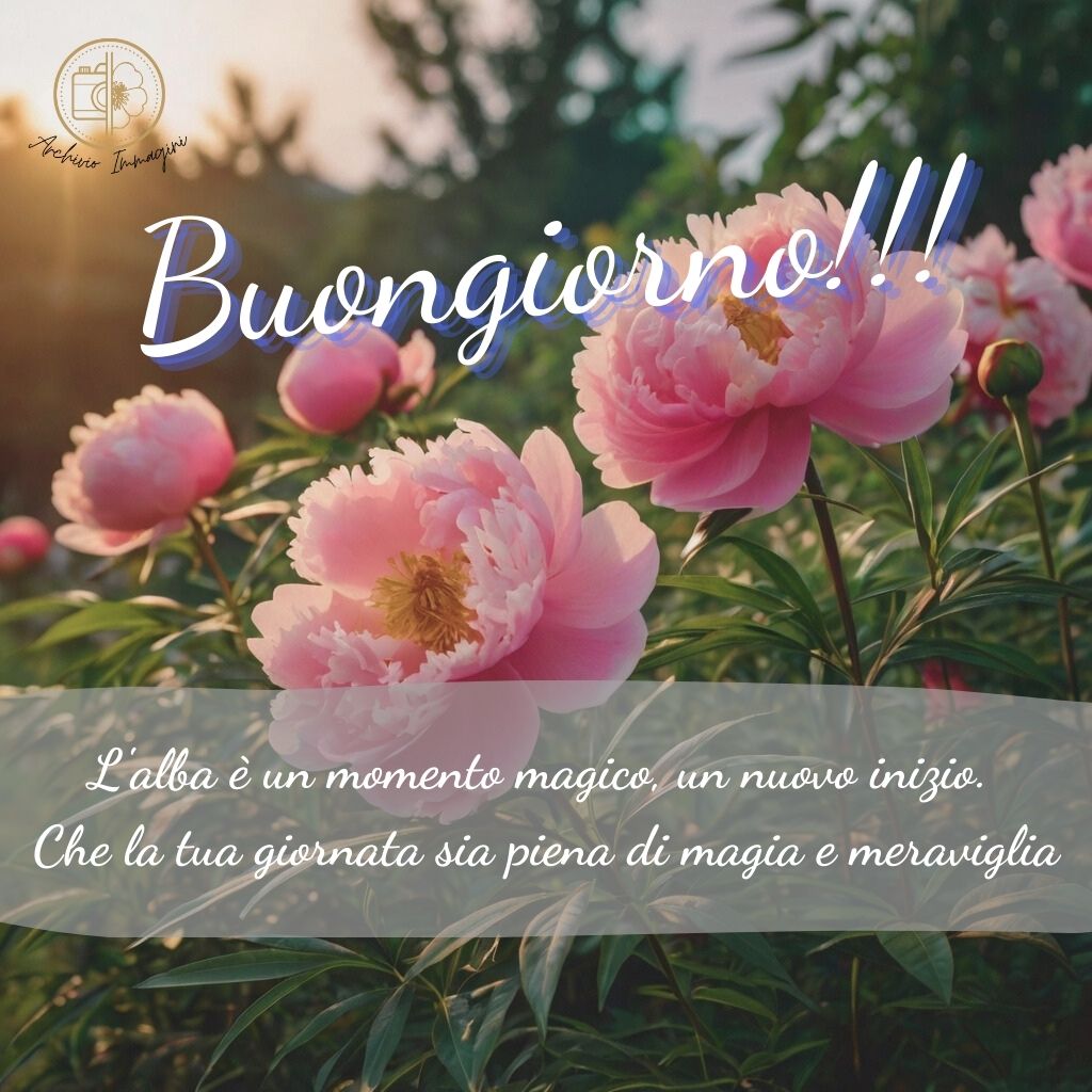 immagini buongiorno con peonie 34