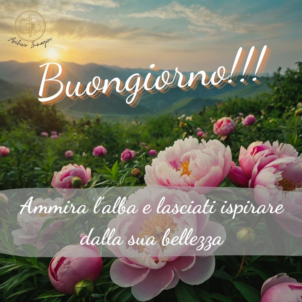 immagini buongiorno con peonie 35