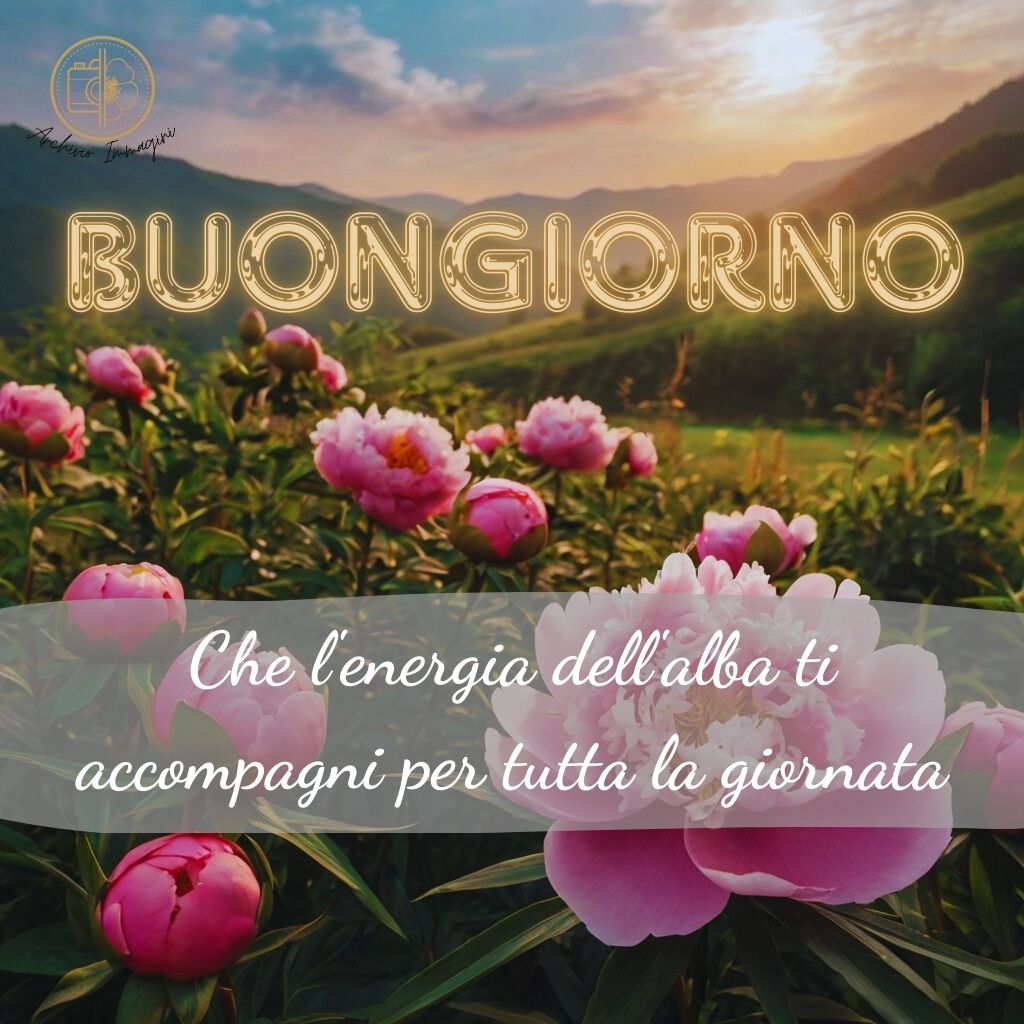 immagini buongiorno con peonie 38