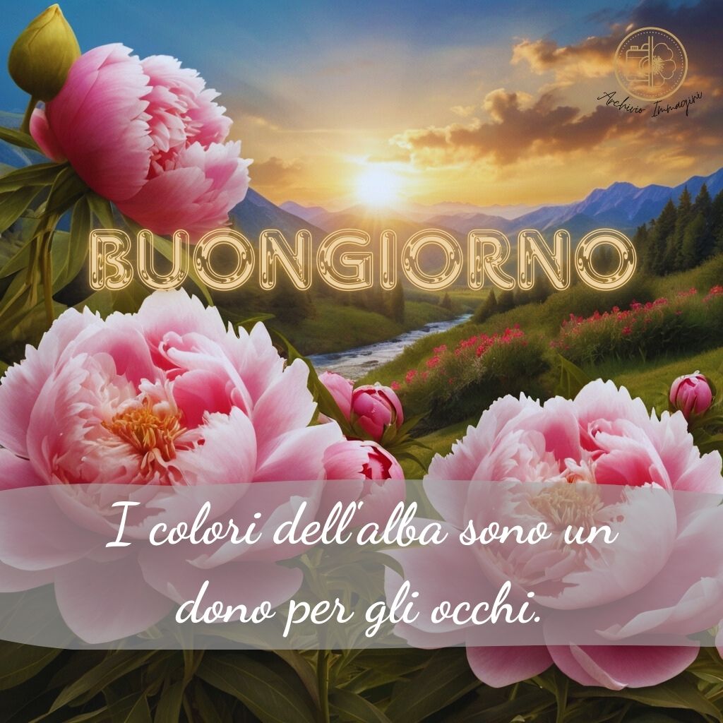 immagini buongiorno con peonie 39