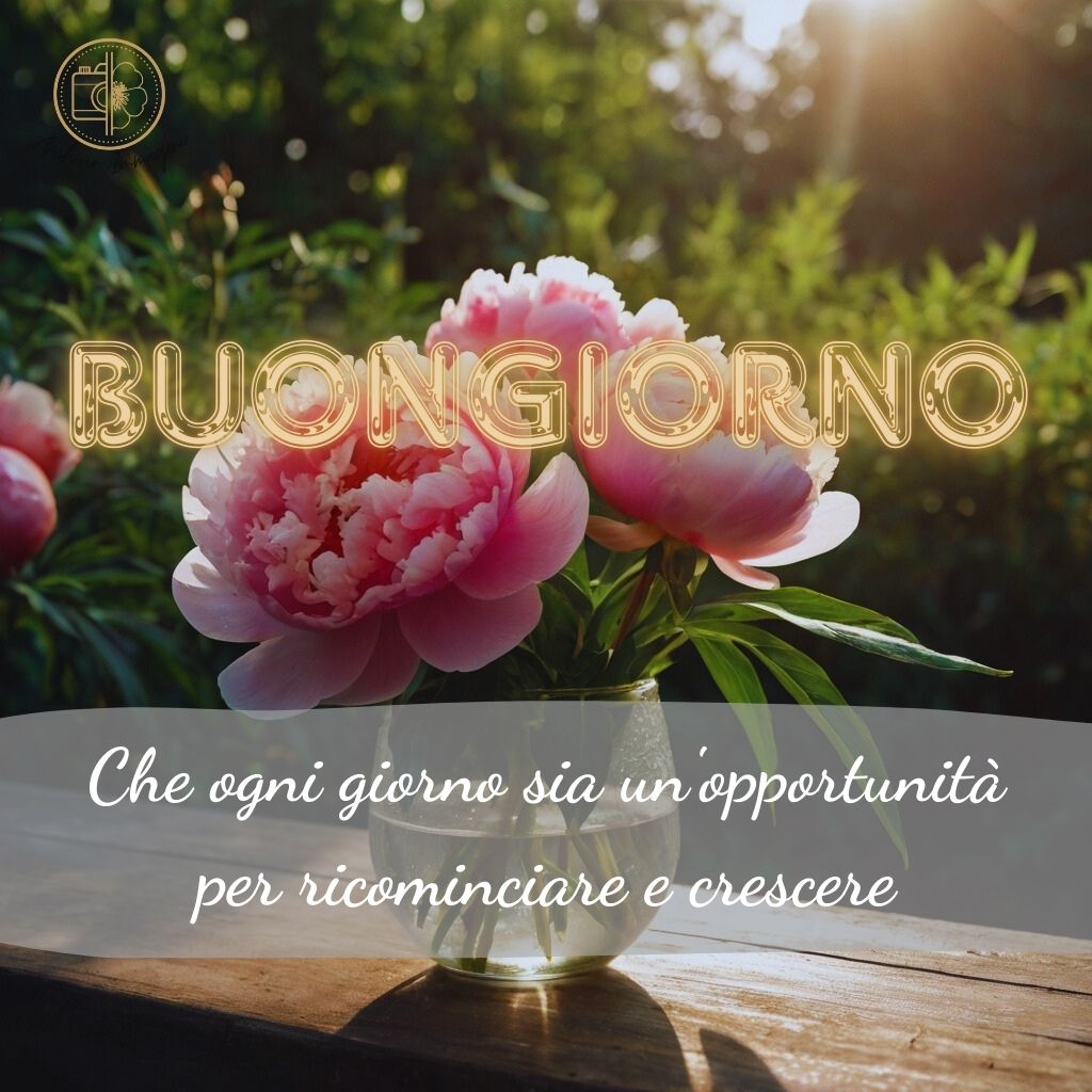 immagini buongiorno con peonie 40