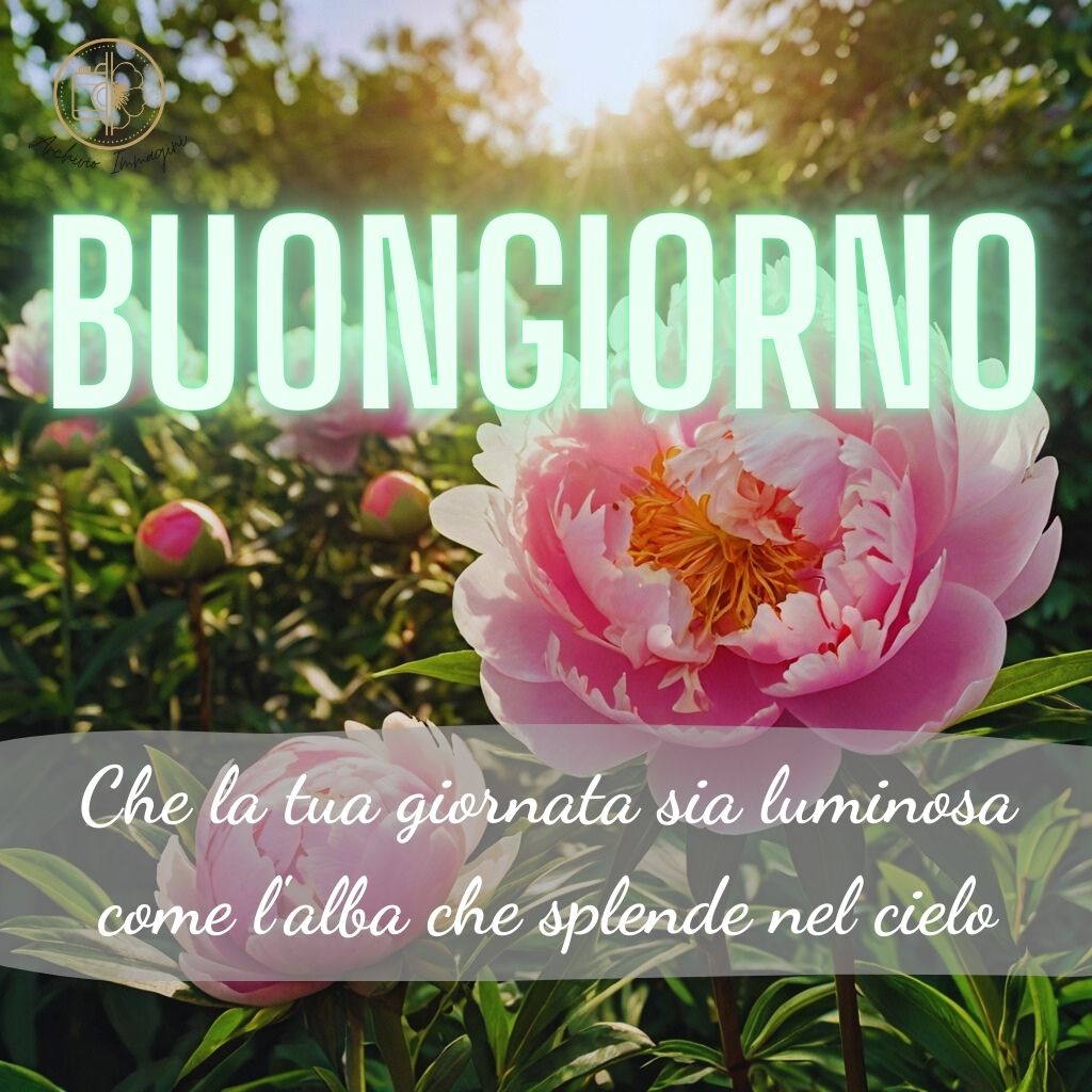 immagini buongiorno con peonie 41