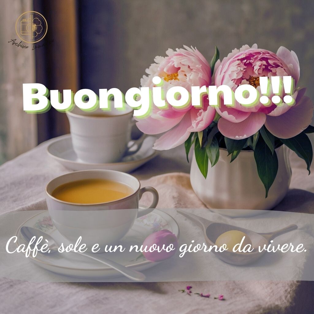 immagini buongiorno con peonie 46