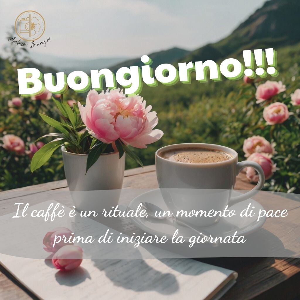 immagini buongiorno con peonie 50