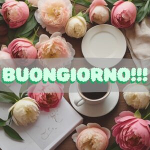 immagini buongiorno con peonie 51 1