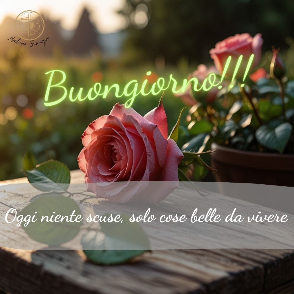 immagini buongiorno con rose 13