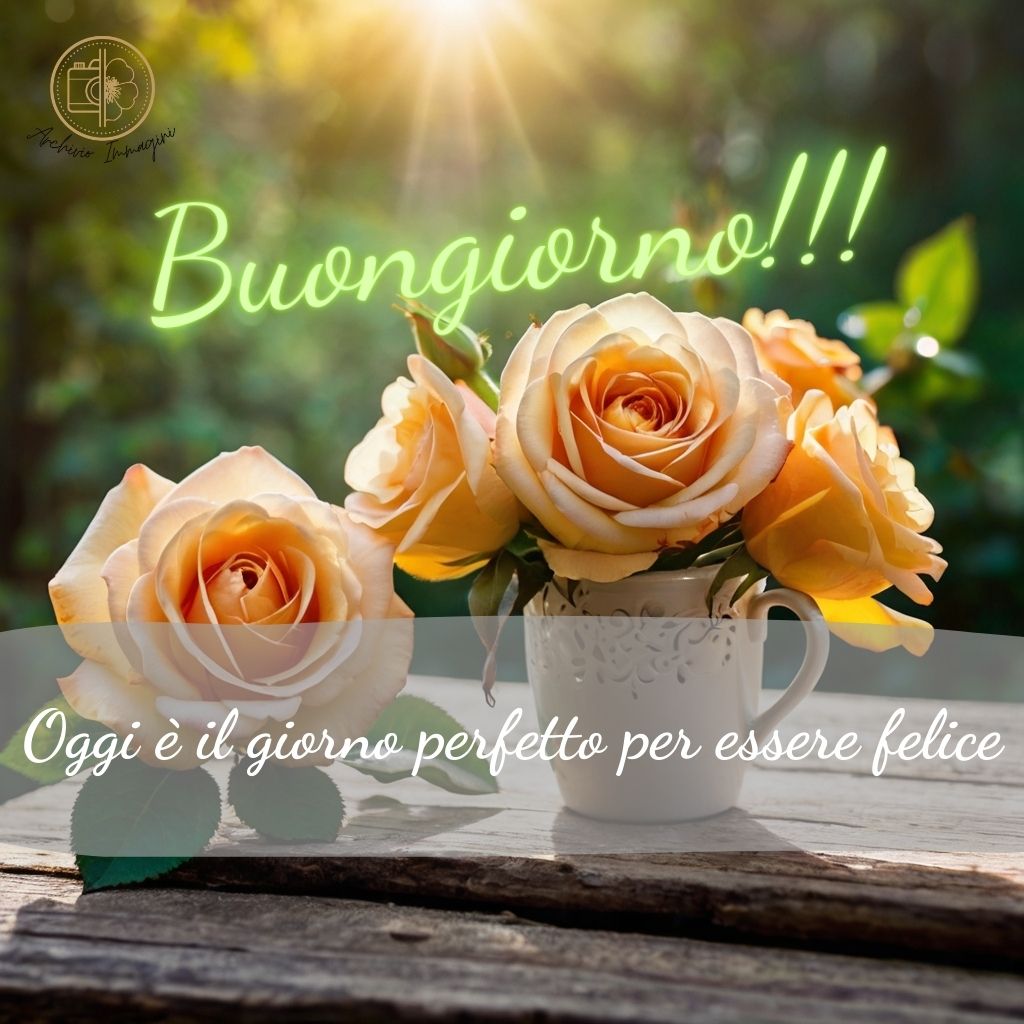 immagini buongiorno con rose 18