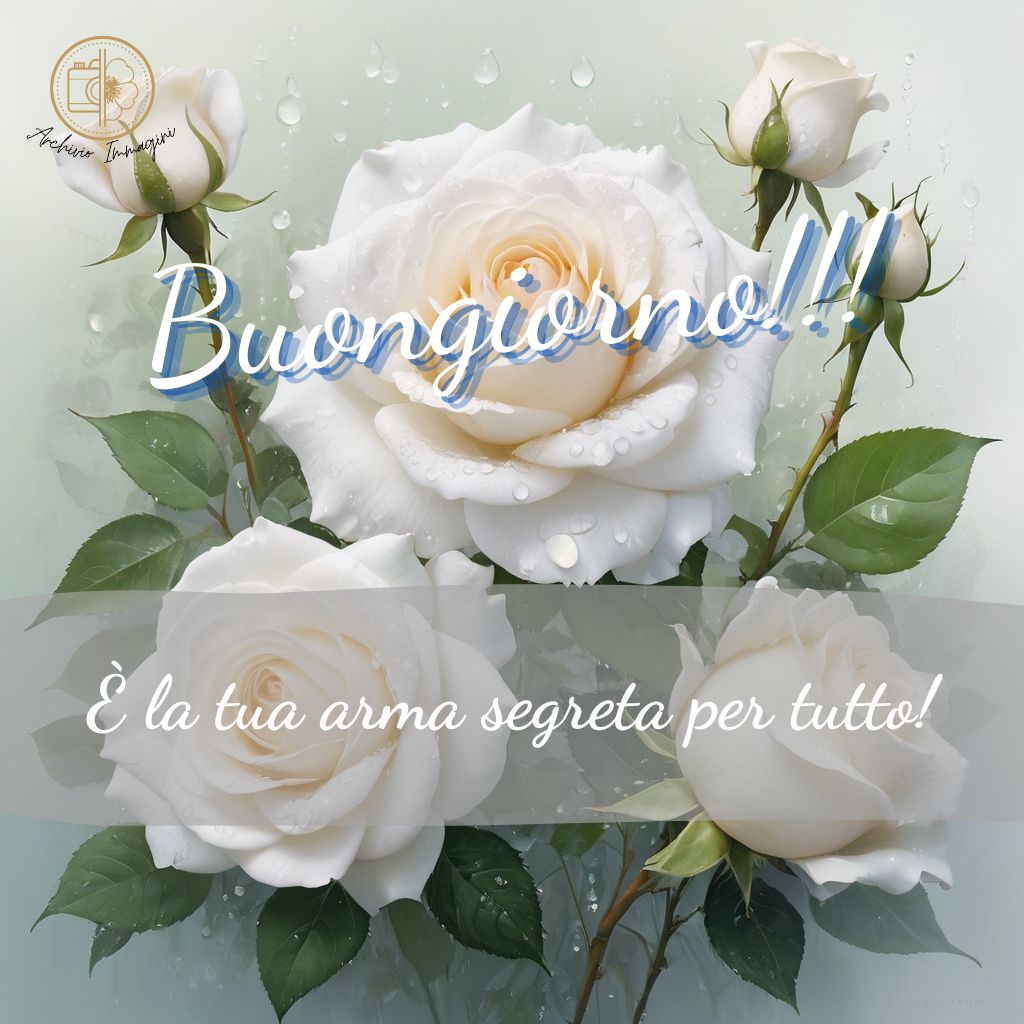 immagini buongiorno con rose 26