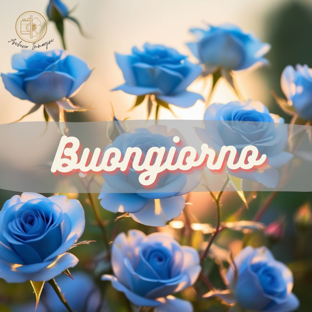 immagini buongiorno con rose 41