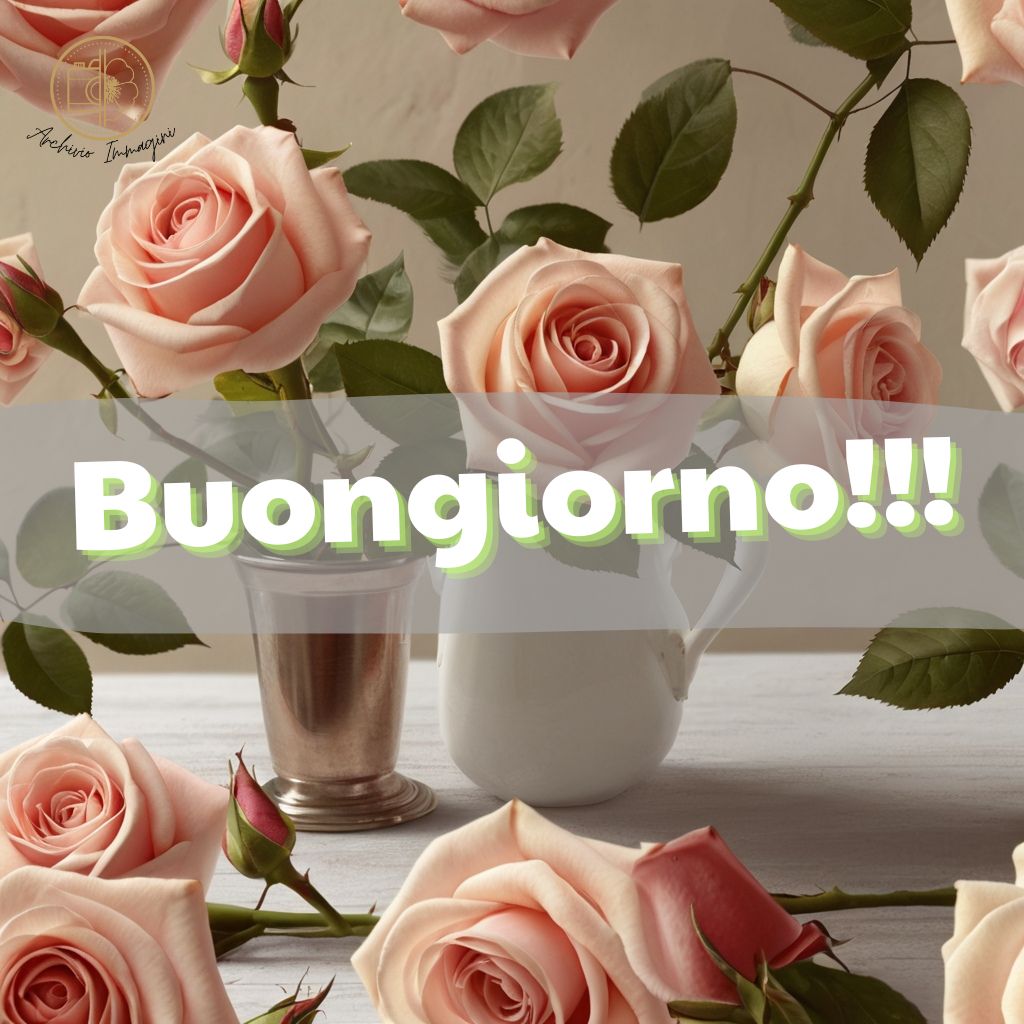 immagini buongiorno con rose 7