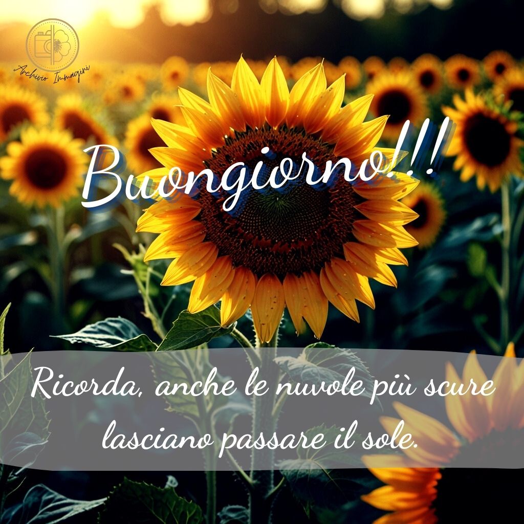 immagini buongiorno con tulipani 22 2