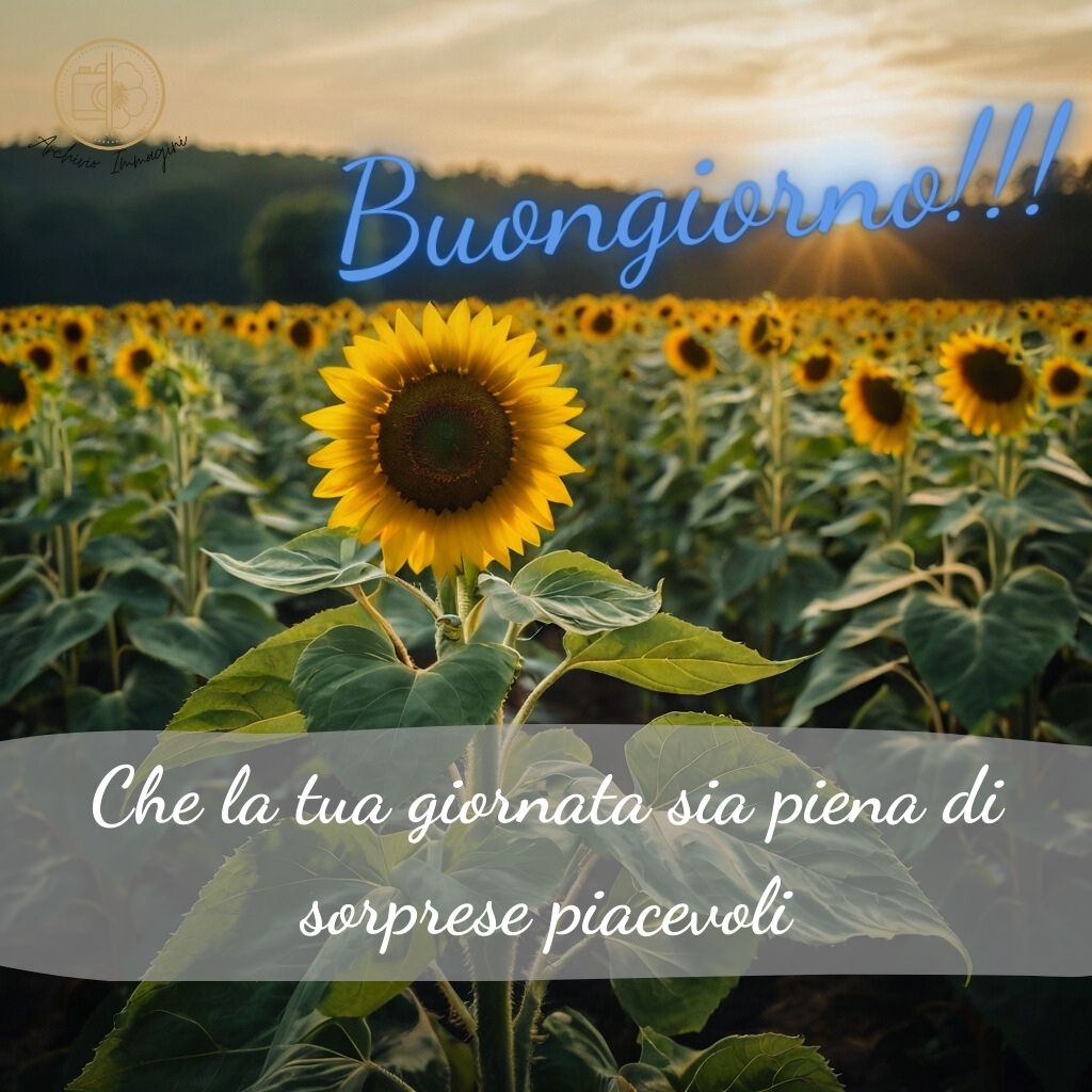 immagini buongiorno con tulipani 25 2