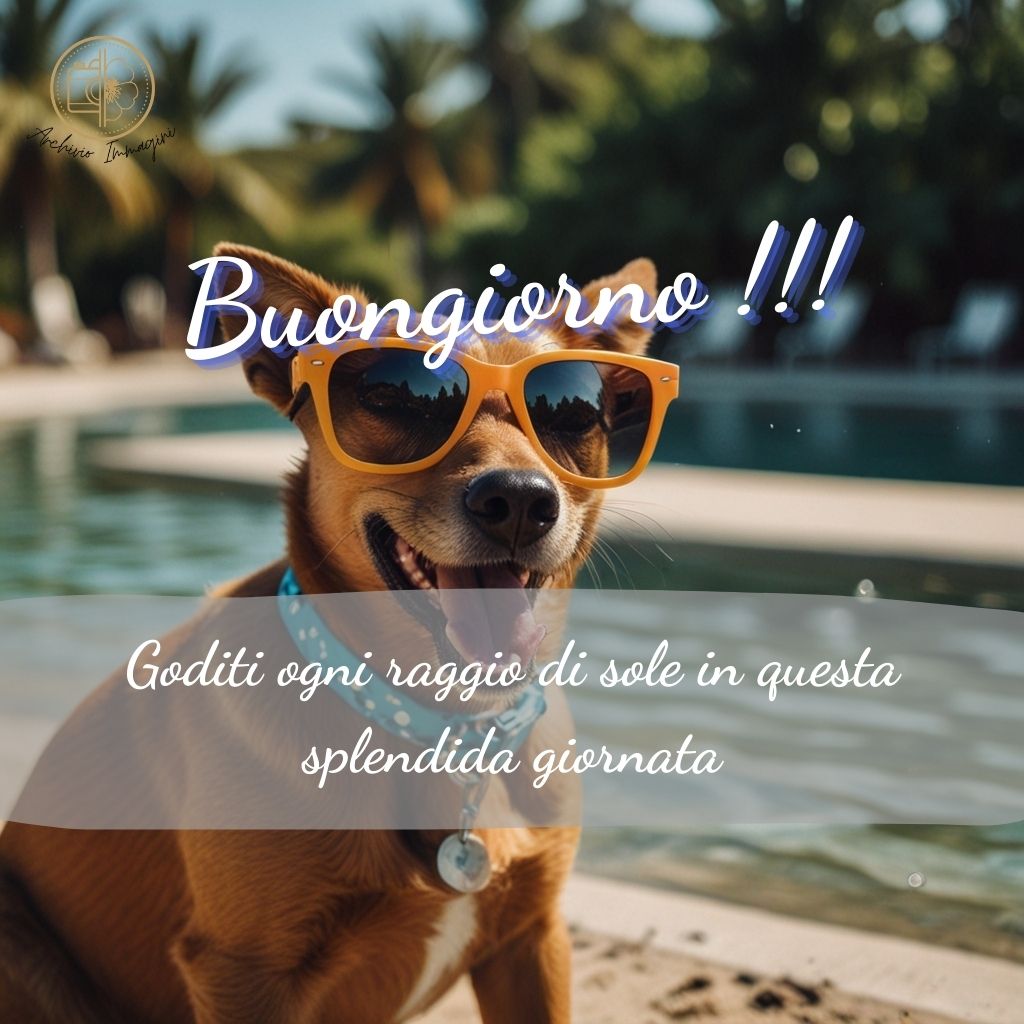 immagini buongiorno estive 13