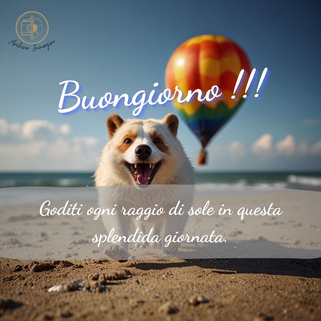 immagini buongiorno estive 15