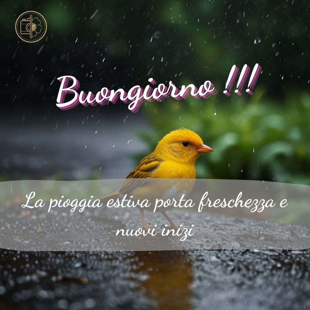 immagini buongiorno estive 47