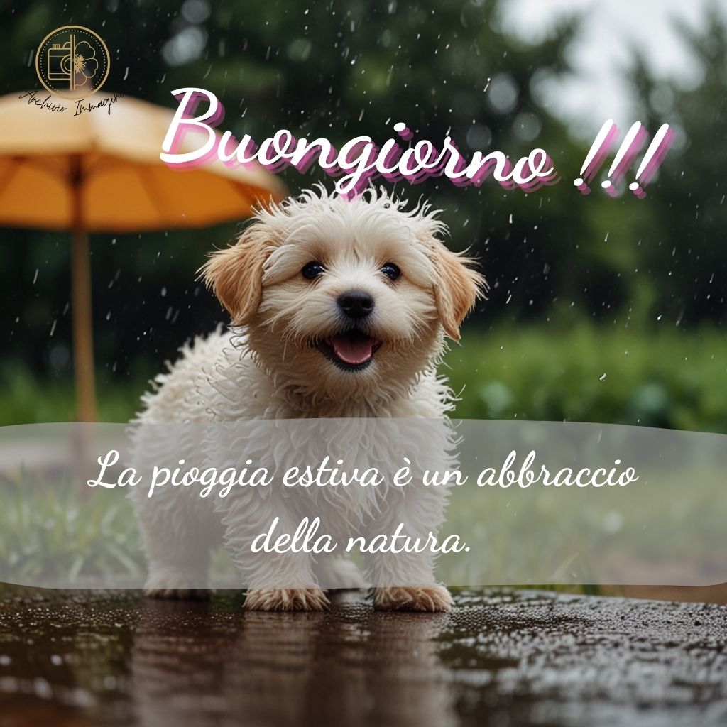 immagini buongiorno estive 52