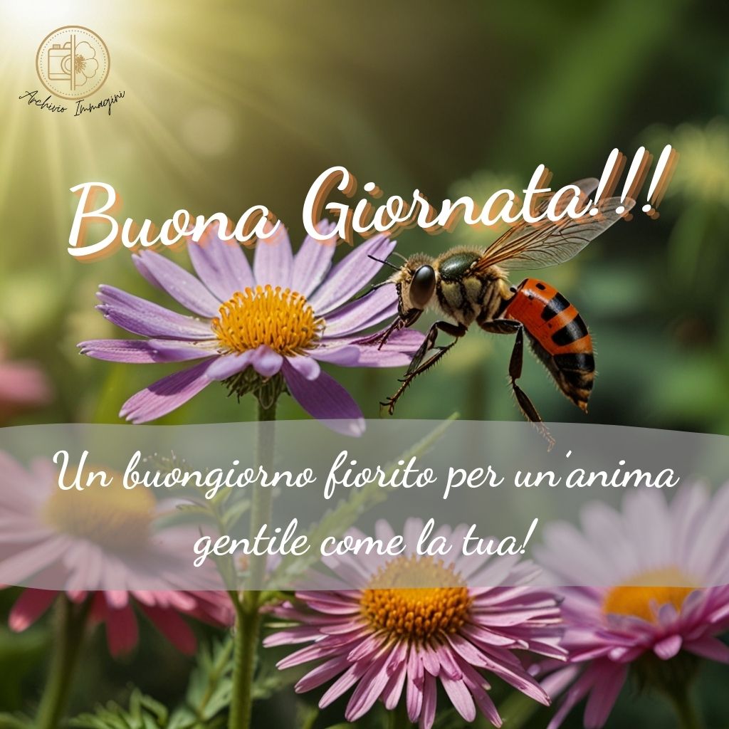 immagini buongiorno estive 58