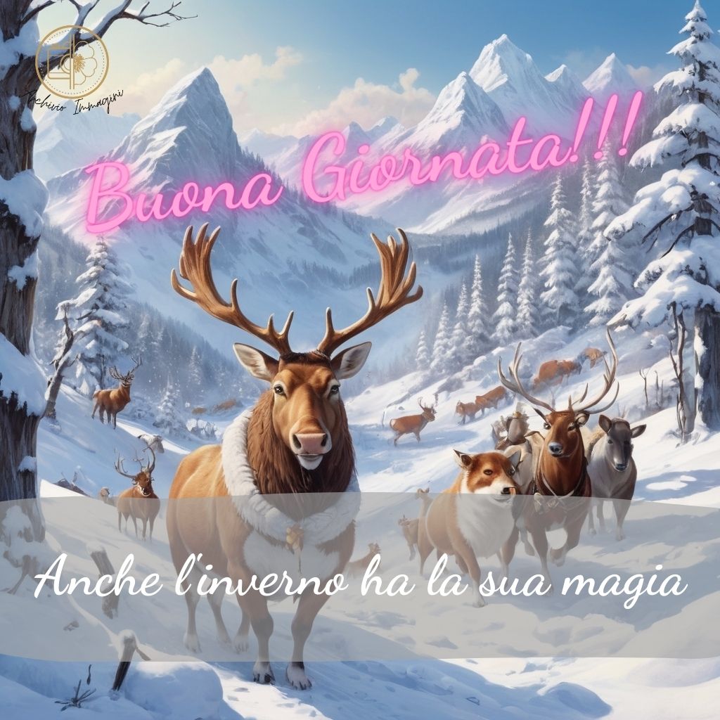 immagini buongiorno invernali 20