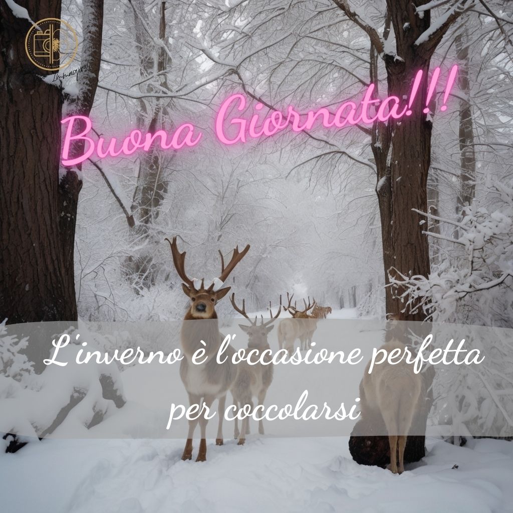 immagini buongiorno invernali 24