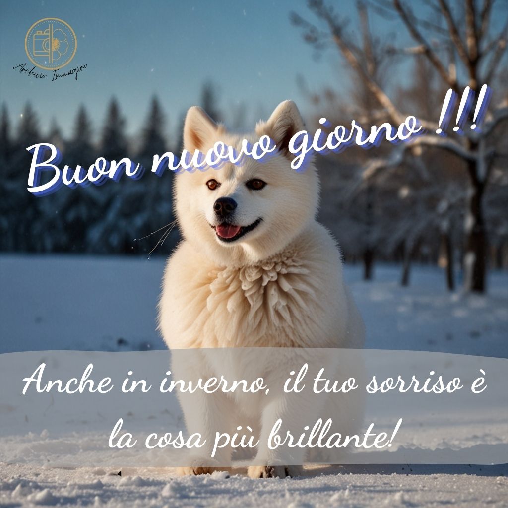 immagini buongiorno invernali 32