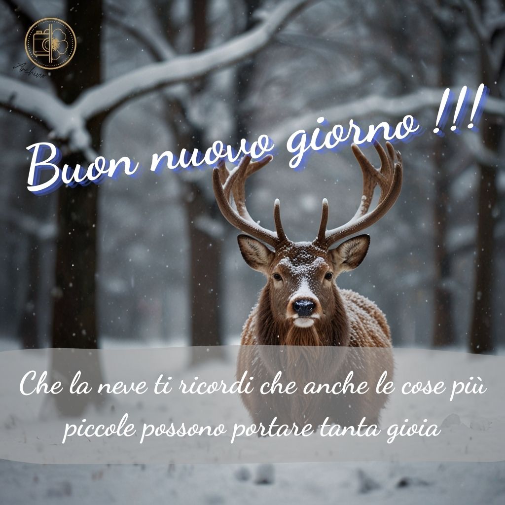 immagini buongiorno invernali 39