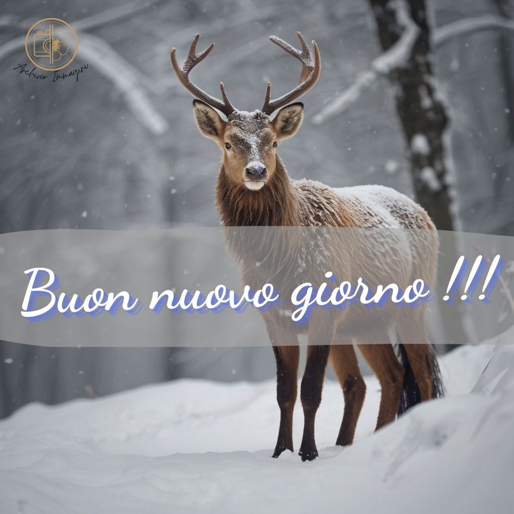 immagini buongiorno invernali 41