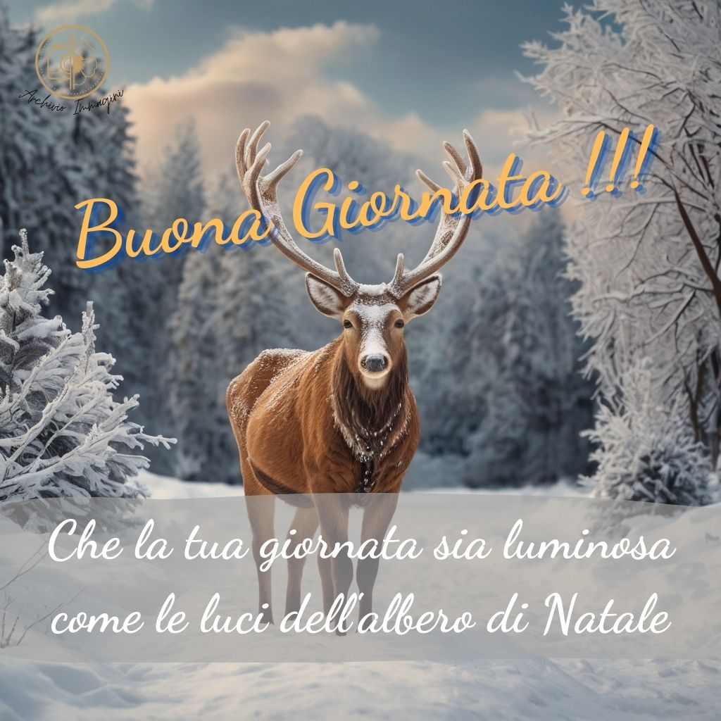 immagini buongiorno invernali 85