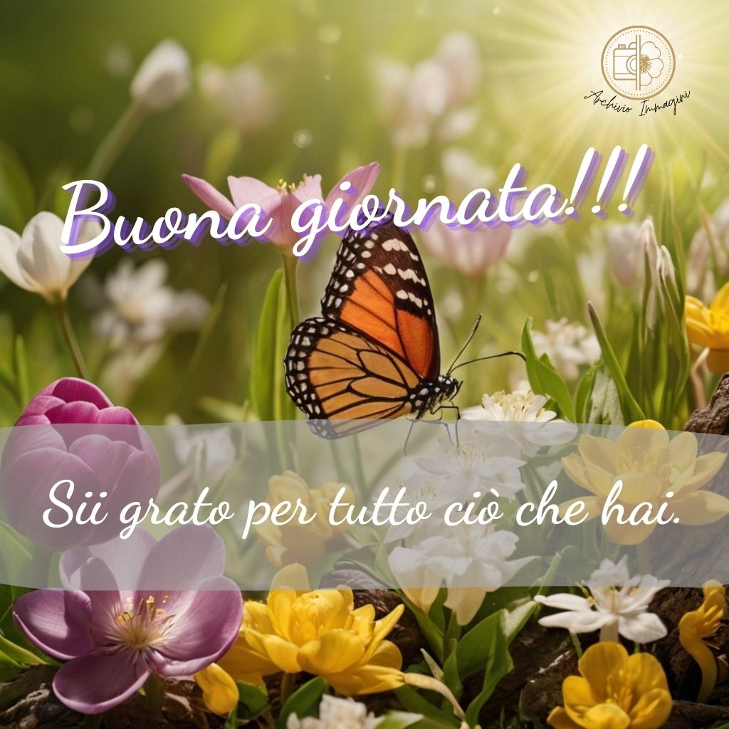 immagini buongiorno primaverili 56