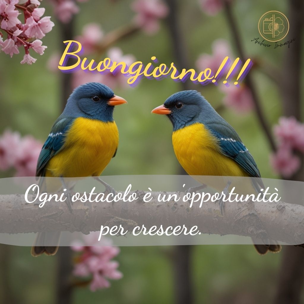 immagini buongiorno primaverili 64