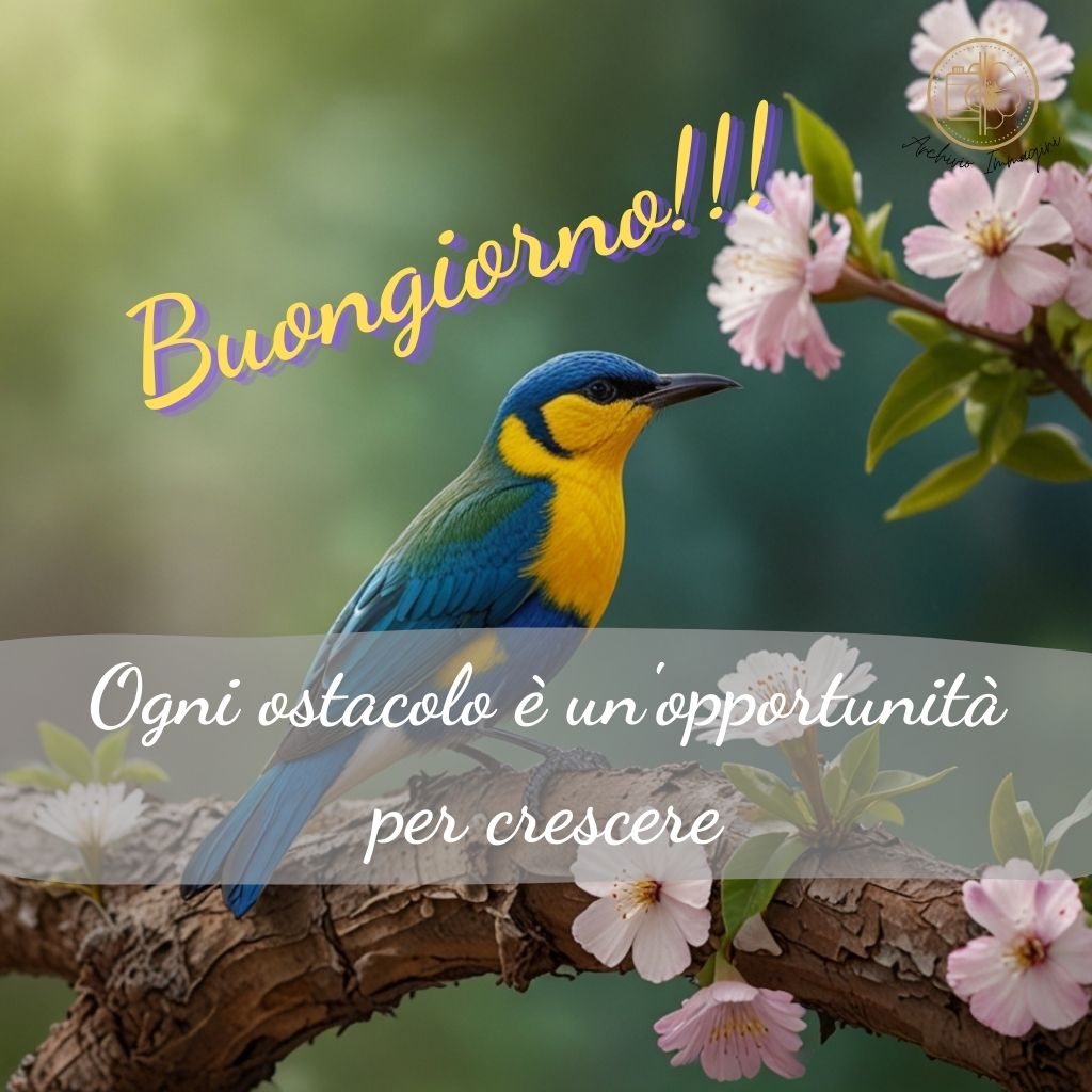 immagini buongiorno primaverili 65