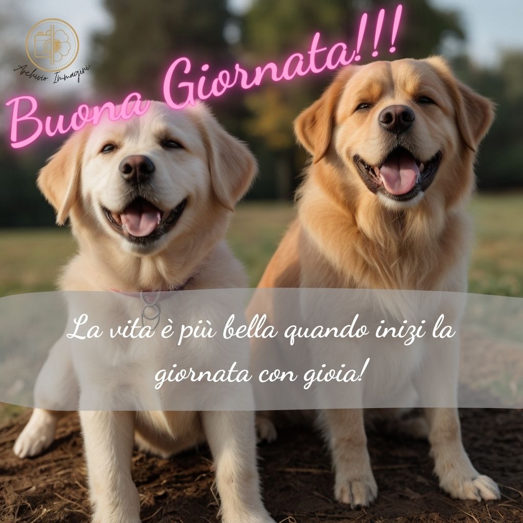 immagini di buongiorno con cani 12