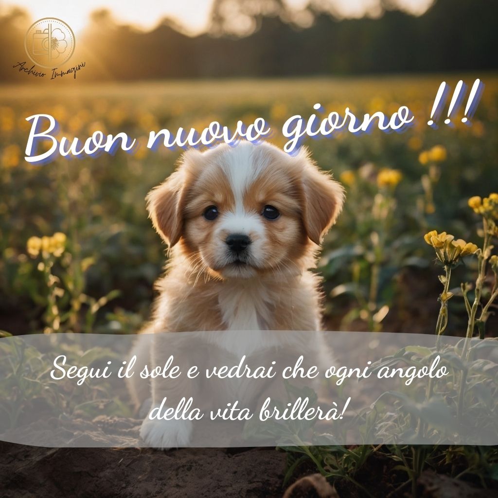 immagini di buongiorno con cani 28