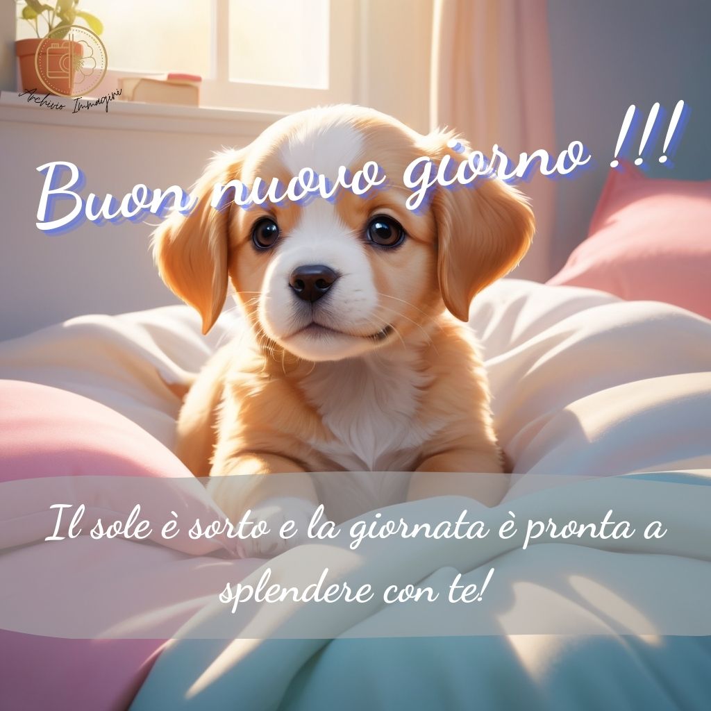 immagini di buongiorno con cani 29