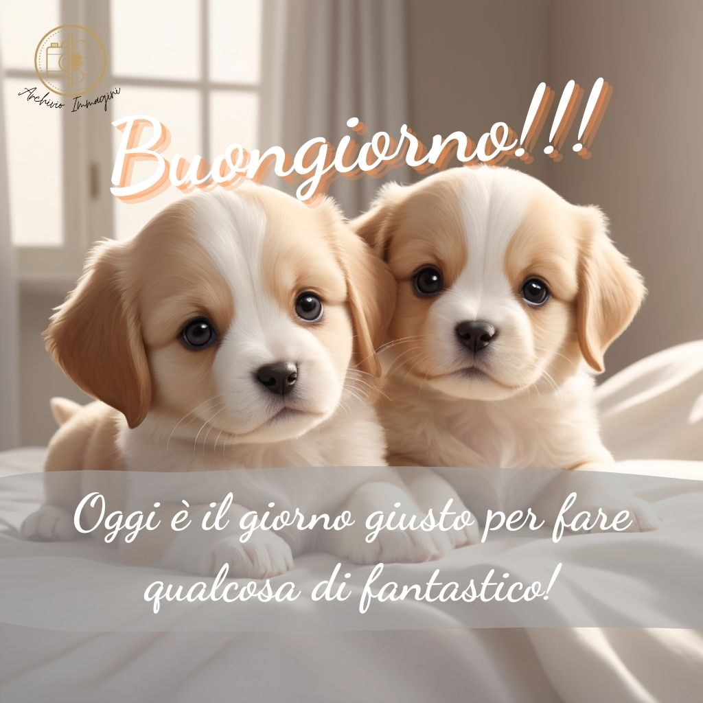 immagini di buongiorno con cani 3