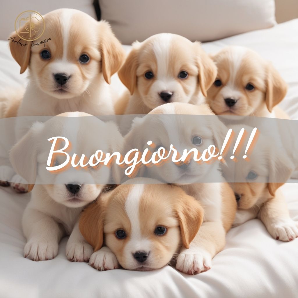 immagini di buongiorno con cani 4