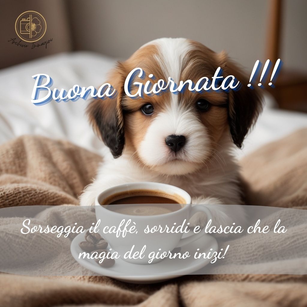 immagini di buongiorno con cani 43