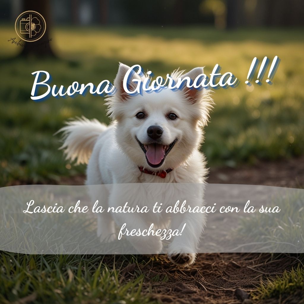 immagini di buongiorno con cani 44