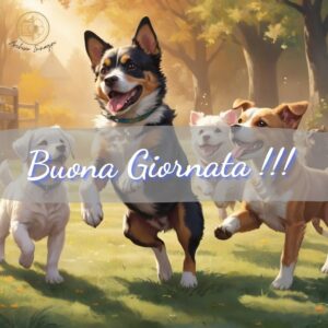 immagini di buongiorno con cani 51