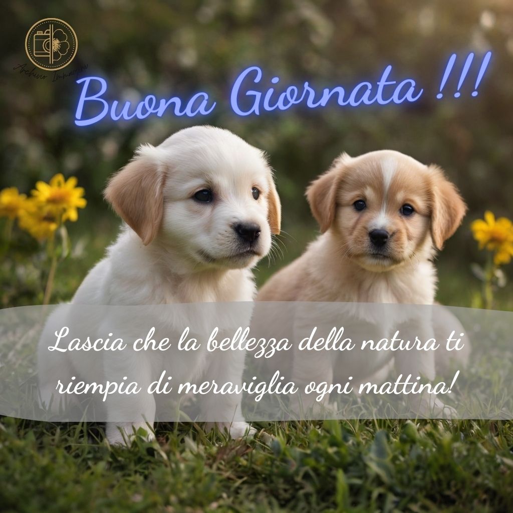 immagini di buongiorno con cani 52