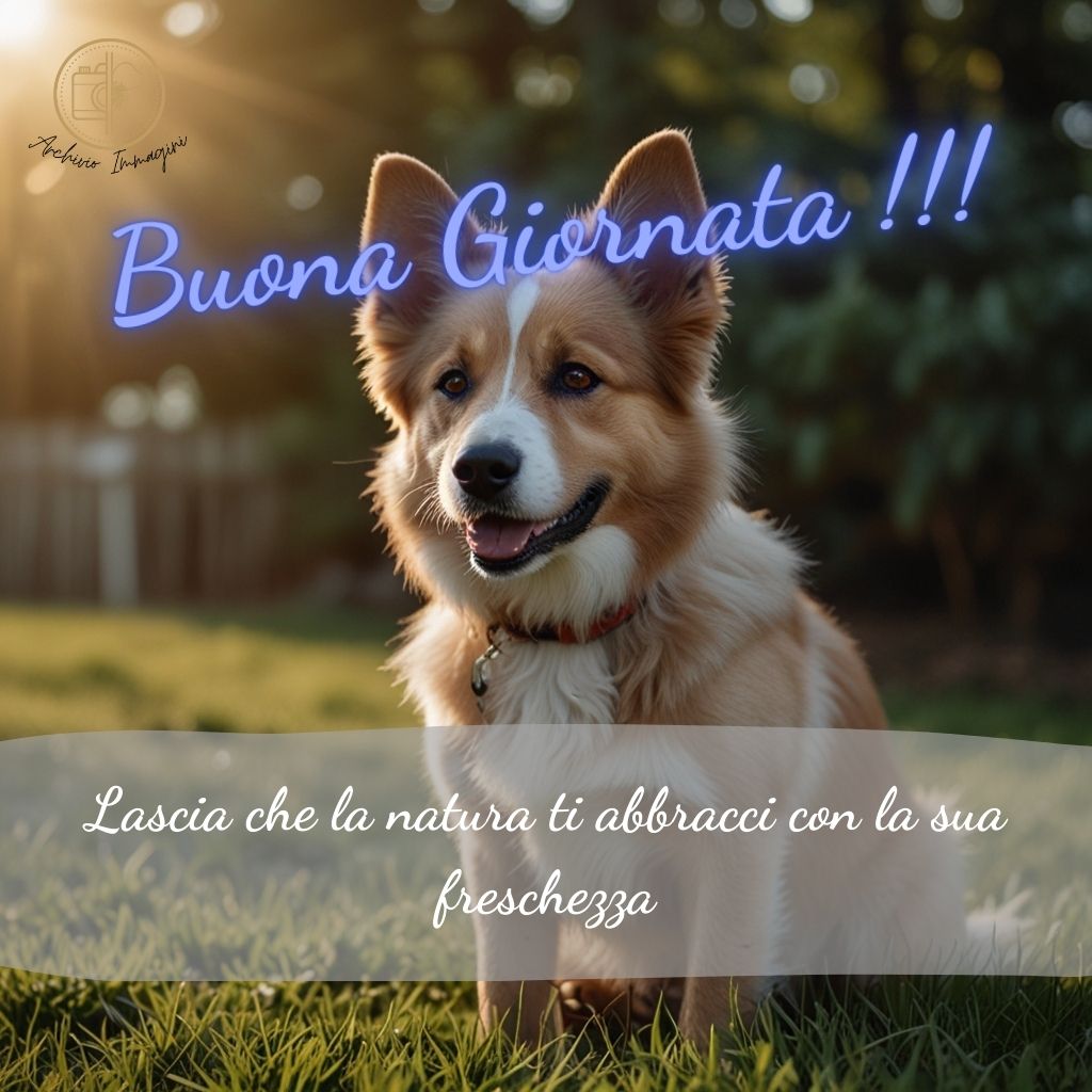 immagini di buongiorno con cani 53