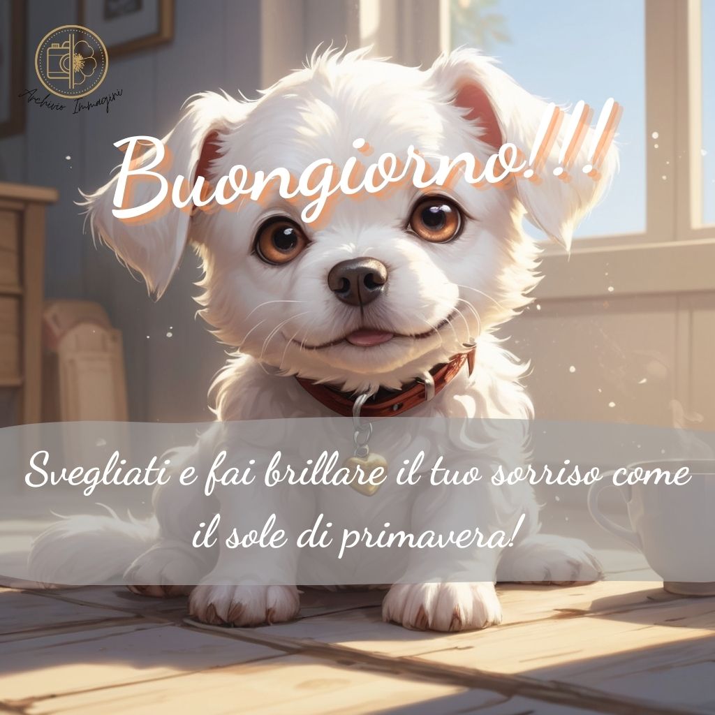 immagini di buongiorno con cani 6