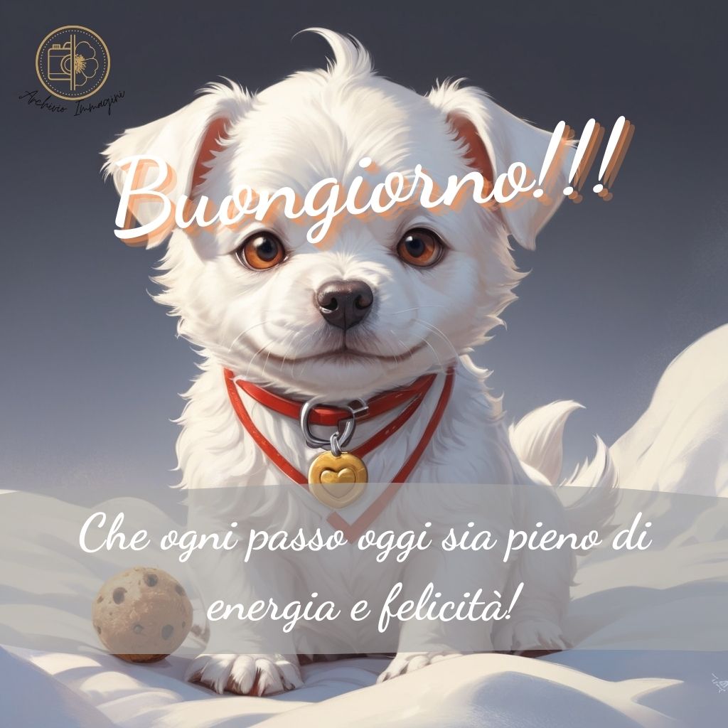 immagini di buongiorno con cani 8