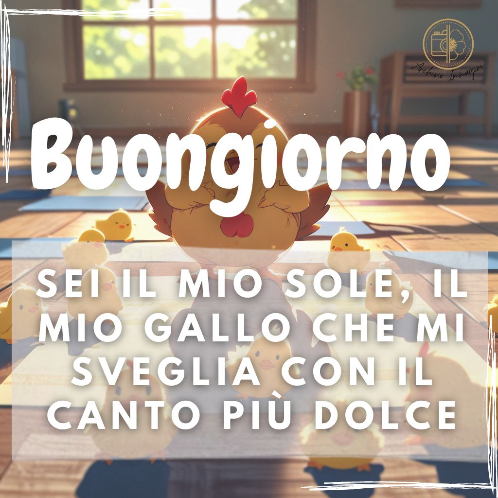 buongiorno con le galline immagini divertenti 26